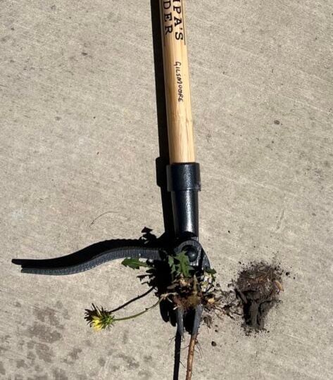 Grampa’s Weeder