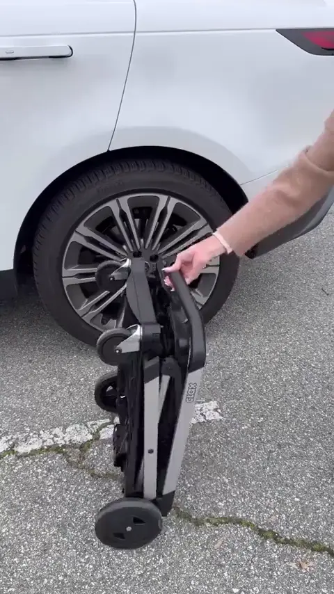 Collapsible carts